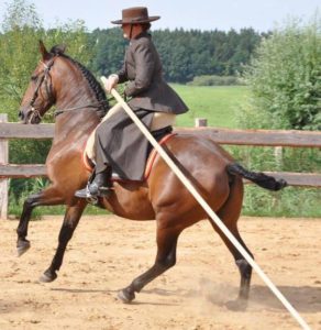 1174606_619465981406794_1013342143_n